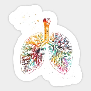 Anatomical Lungs Sticker